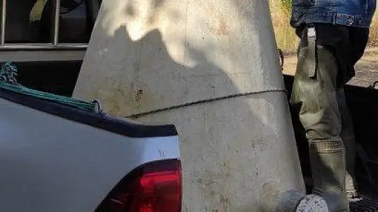 Elazığ'da üretilen 5 milyon balık 21 baraja bırakılıyor