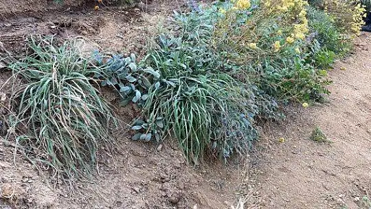Elazığ'da uyuşturucu operasyonu