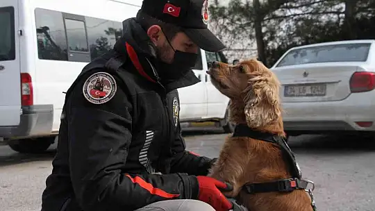 Uyuşturucu tacirlerinin korkulu rüyaları: Alex ve Nina
