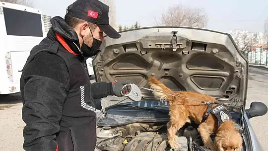 Uyuşturucu tacirlerinin korkulu rüyaları: Alex ve Nina