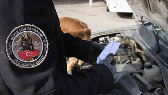Uyuşturucu tacirlerinin korkulu rüyaları: Alex ve Nina
