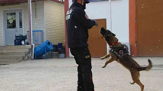 Uyuşturucu tacirlerinin korkulu rüyaları: Alex ve Nina