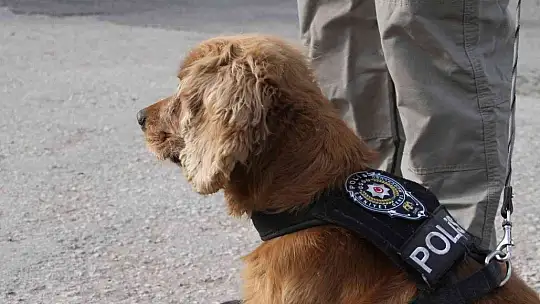 Elazığ'da uyuşturucuya geçit yok