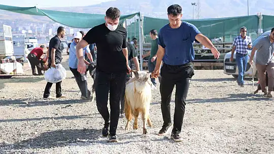 Elazığ'da vatandaşlar kurbanlarını kesti, yoğunluk havadan görüntülendi