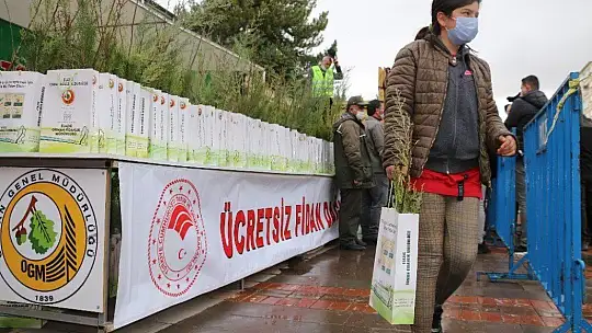 Elazığ'da vatandaşlara 5 bin adet ücretsiz fidan dağıtıldı