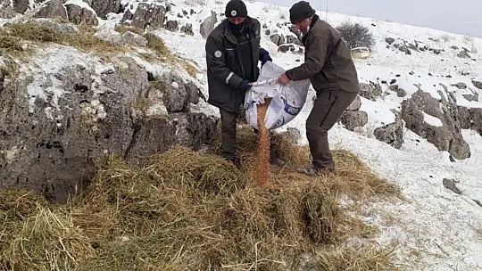 Elazığ'da Yaban Hayatı İçin Yem Desteği Sürüyor