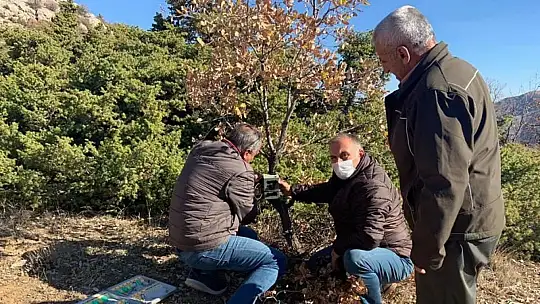 Elazığ'da yaban hayatı ve kaçak avcılar..