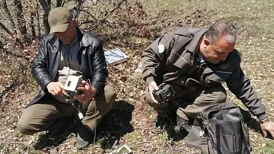 Elazığ'da yaban hayatı ve kaçak avcılar, fotokapanlarla tespit ediliyor