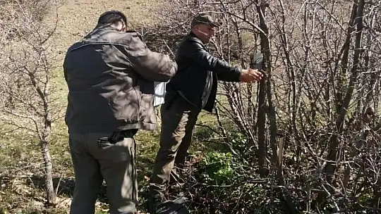 Elazığ'da yaban hayatı ve kaçak avcılar, fotokapanlarla tespit ediliyor