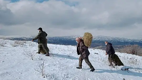 Elazığ'da Yaban Hayvanları İçin Doğaya 1,5 Ton Yem Bırakıldı