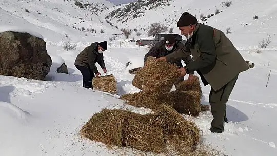 Elazığ'da Yaban Hayvanları İçin Doğaya 1,5 Ton Yem Bırakıldı