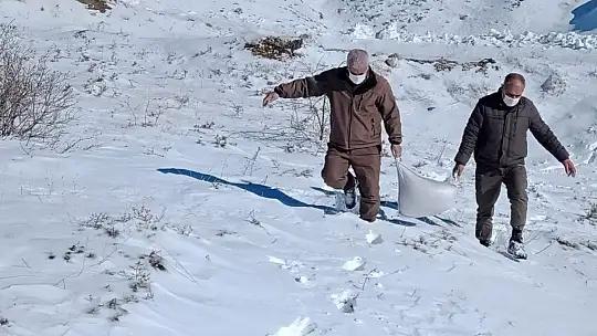 Hayvanlar için doğaya yem bırakıldı
