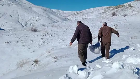 Hayvanlar için doğaya yem bırakıldı