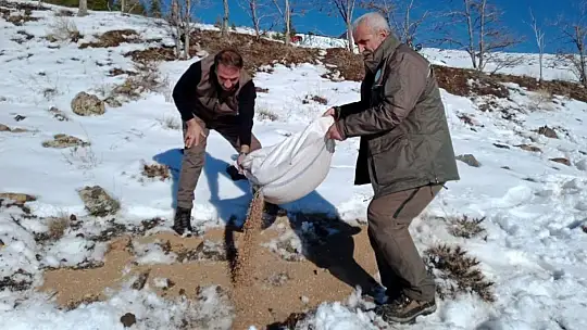 Hayvanlar için doğaya yem bırakıldı