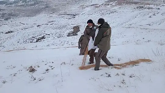 Hayvanlar için doğaya yem bırakıldı
