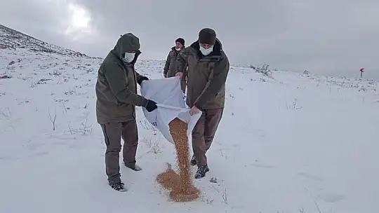 Hayvanlar için doğaya yem bırakıldı