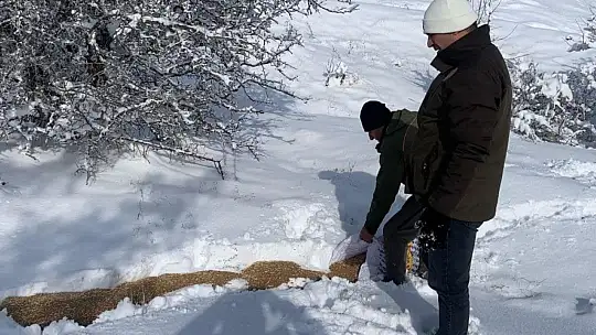 Elazığ'da yaban hayvanları unutulmadı: Doğaya 300 kilo yem bırakıldı