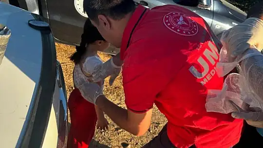 Elazığ'da yangın: 4 kişi yaralandı, yüzlerce kayısı ağacı yandı