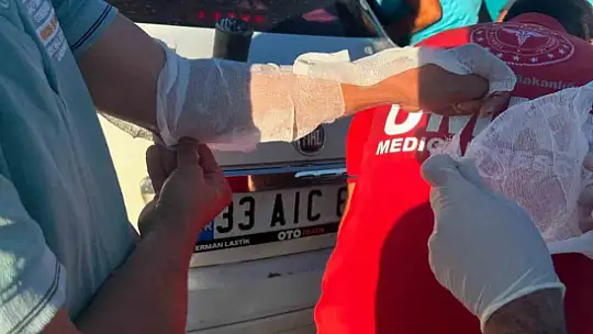 Elazığ'da yangın: 4 kişi yaralandı, yüzlerce kayısı ağacı yandı