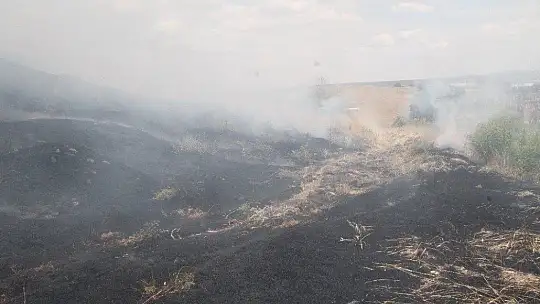 Elazığ'da yangın saatler sonra kontrol altına alındı, 800 dönüm ekili arazi kül oldu