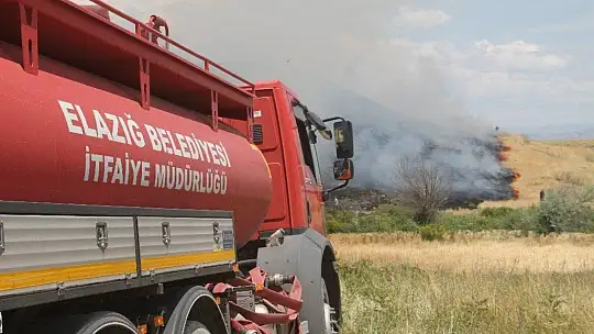 Elazığ'da yangın saatler sonra kontrol altına alındı, 800 dönüm ekili arazi kül oldu