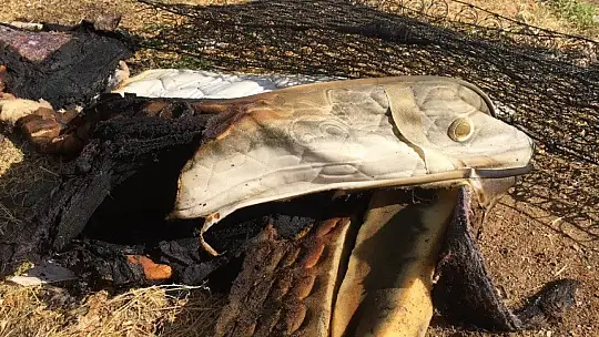 Elazığ'da yangında 8 aylık bebek öldü, 2 çocuk yaralandı
