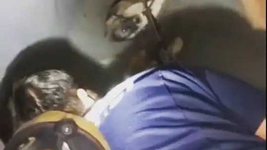 Elazığ'da yaralı halde bulunan köpek itfaiye ekipleri tarafından kurtarıldı