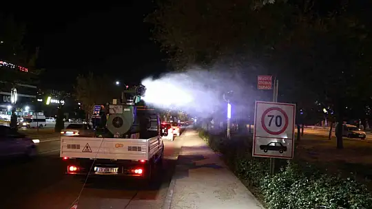 Elazığ'da yeşil alanlar ilaçlanıyor
