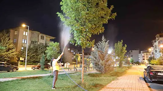 Elazığ'da yeşil alanlar ilaçlanıyor