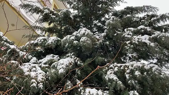Elazığ'da yoğun kar yağışı, 269 köy yolunu kapattı