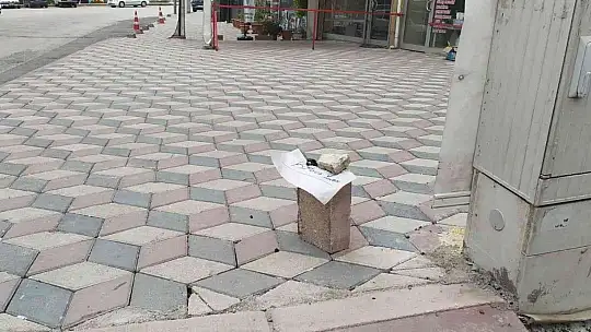 Elazığ'da yürekleri ısıtan görüntü: Karıncalar ezilmesin diye kaldırıma not bıraktı