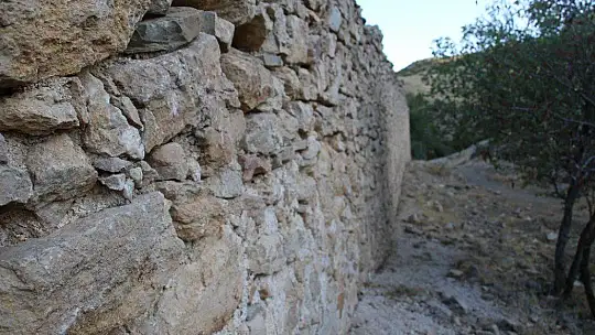 Elazığ'da zamana direnen 800 yıllık manastır restore edilmeyi bekliyor