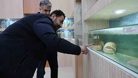 Elazığ'daki 'Balık Müzesi' büyük ilgi görüyor