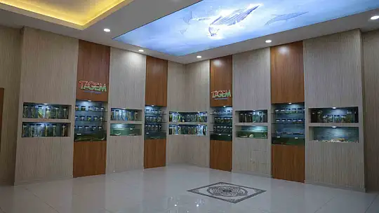 Elazığ'daki 'Balık Müzesi' büyük ilgi görüyor