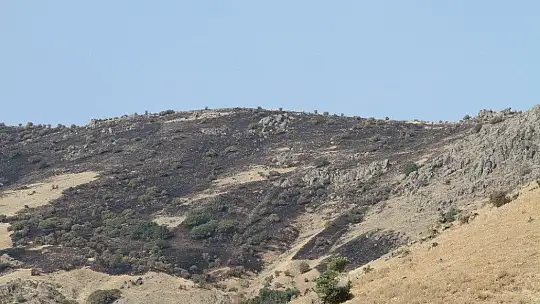 Elazığ'daki orman yangını söndürüldü