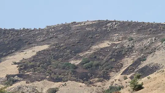 Elazığ'daki orman yangını söndürüldü
