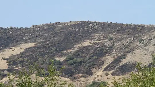 Elazığ'daki orman yangını söndürüldü