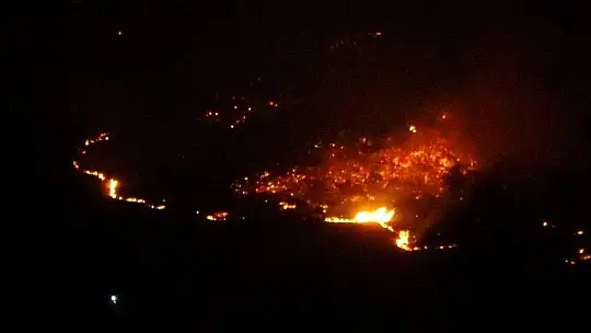 Elazığ'daki orman yangını söndürüldü