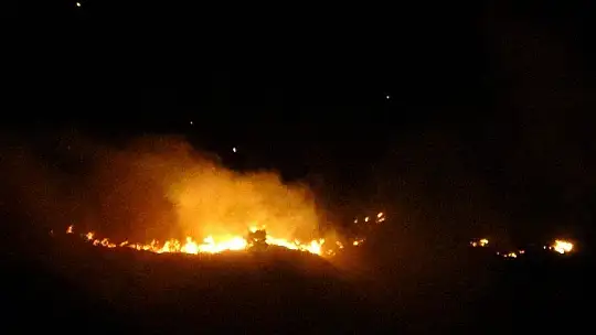 Elazığ'daki orman yangını söndürüldü