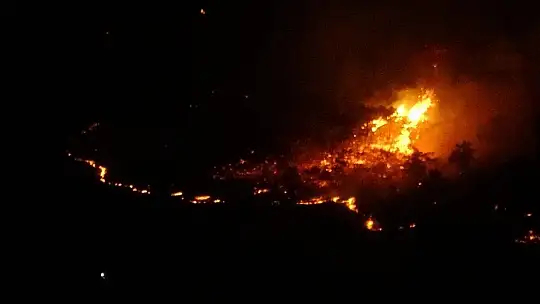 Elazığ'daki orman yangını söndürüldü