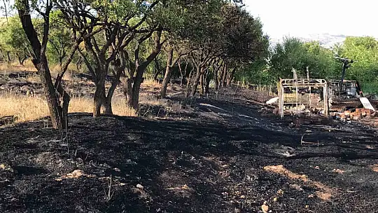Elazığ'daki bahçe yangınında 10 dönüm alan zarar gördü