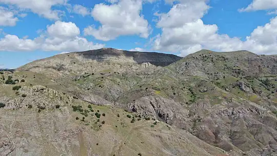Elazığ'daki kan donduran cinayetin dehşet veren detayları ortaya çıktı