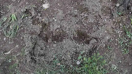 Elazığ'daki kan donduran cinayetin dehşet veren detayları ortaya çıktı
