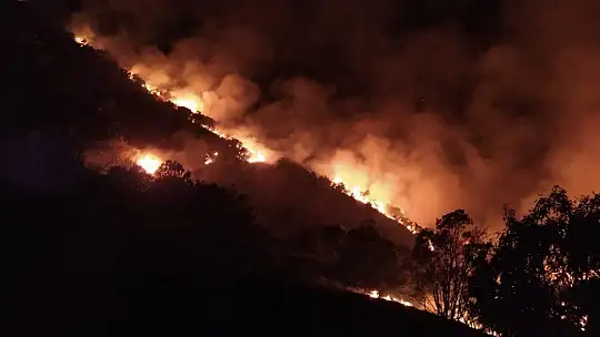 Elazığ'daki orman yangını 30 saatte kontrol altına alındı