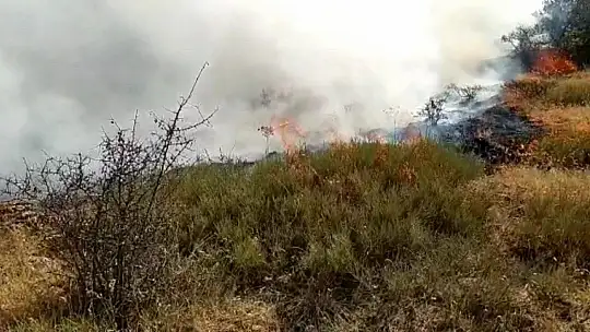 Elazığ'daki orman yangını 30 saatte kontrol altına alındı