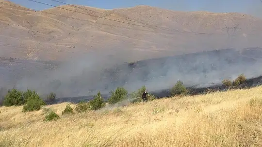 Elazığ'daki orman yangını söndürüldü