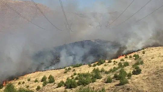 Elazığ'daki orman yangını söndürüldü