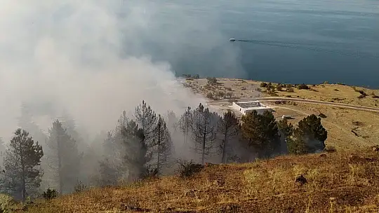 Elazığ'daki orman yangını söndürüldü