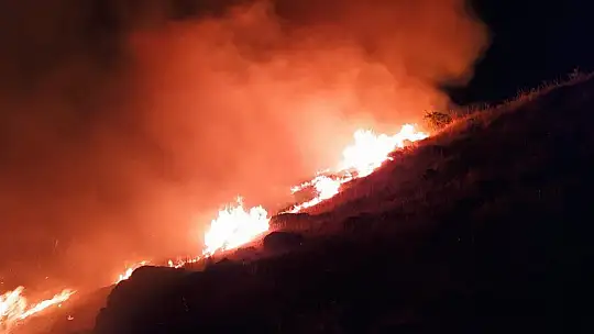 Elazığ'daki örtü yangını rüzgarın etkisiyle yeniden alevlendi
