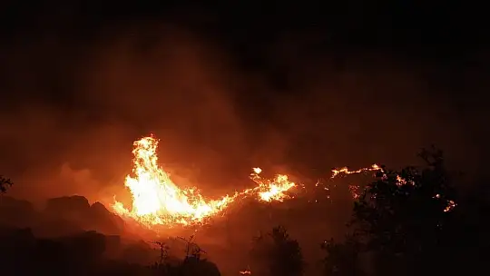 Elazığ'daki örtü yangını rüzgarın etkisiyle yeniden alevlendi